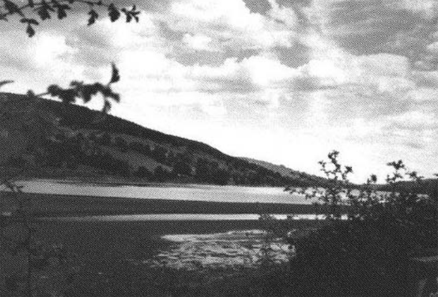 Gouthwaite Reservoir
