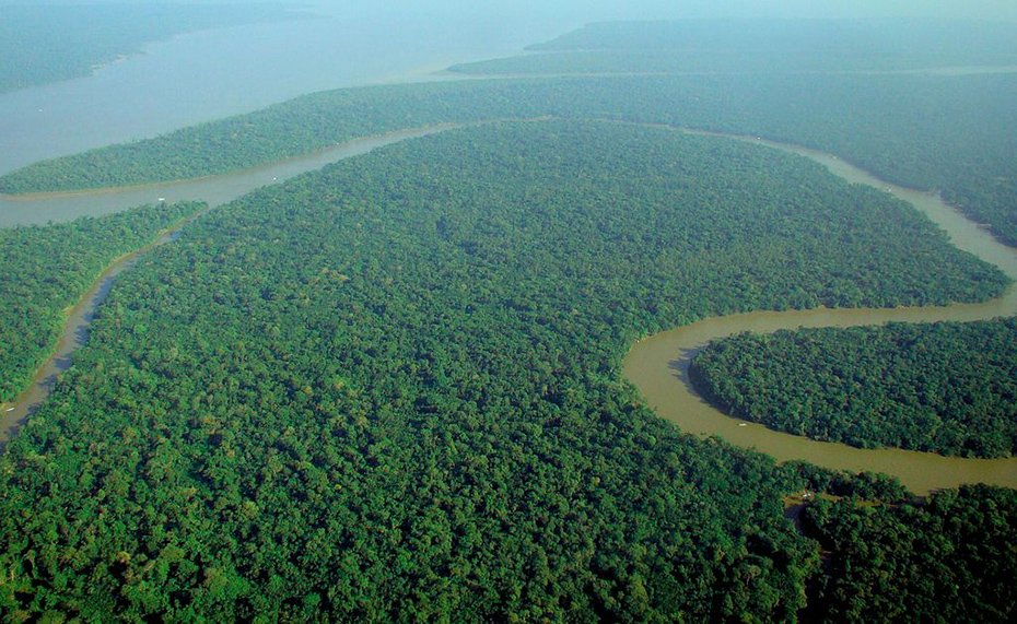 amazon rainforest