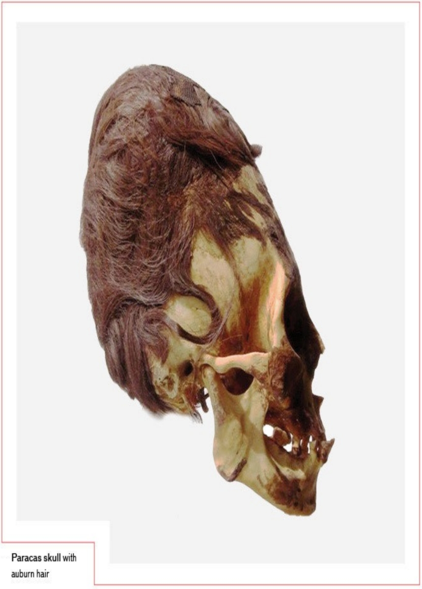 06 paracas skul