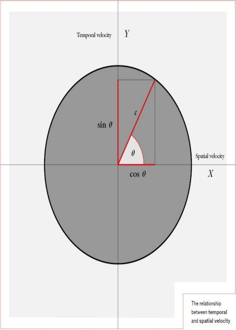 08 temporal vs spatial