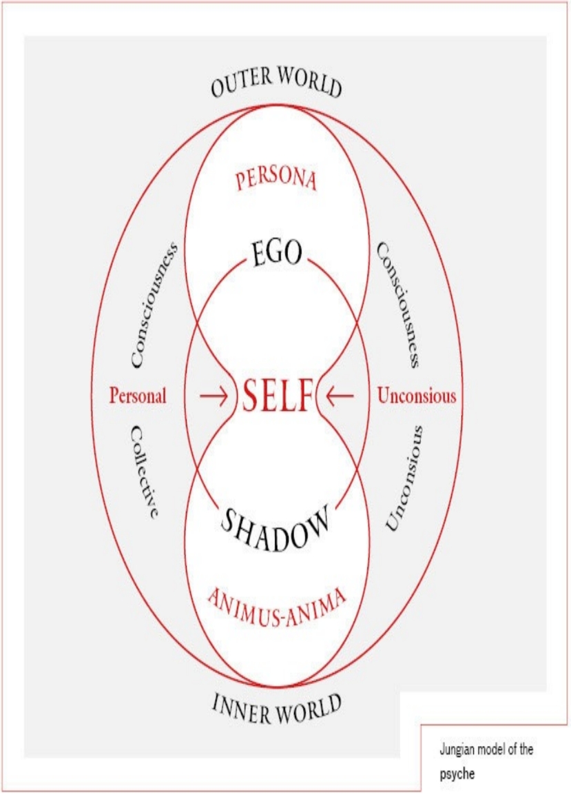 13 jungian model