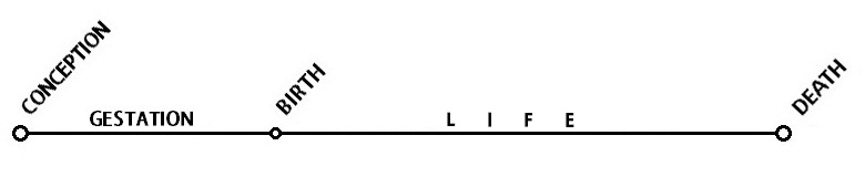 theory of eternal life 1