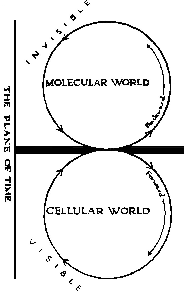 theory of eternal life 10