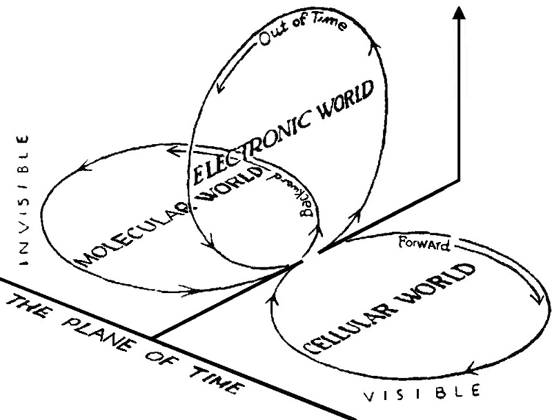 theory of eternal life 11