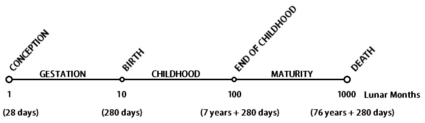 theory of eternal life 3