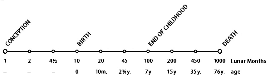 theory of eternal life 4