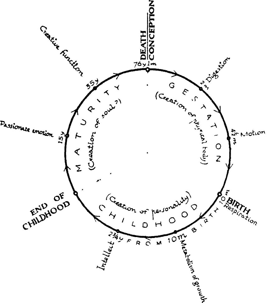 theory of eternal life 6