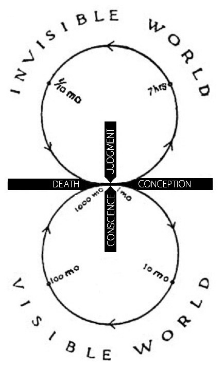theory of eternal life 7