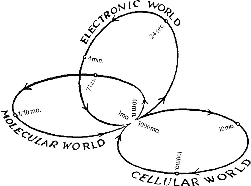 theory of eternal life 8
