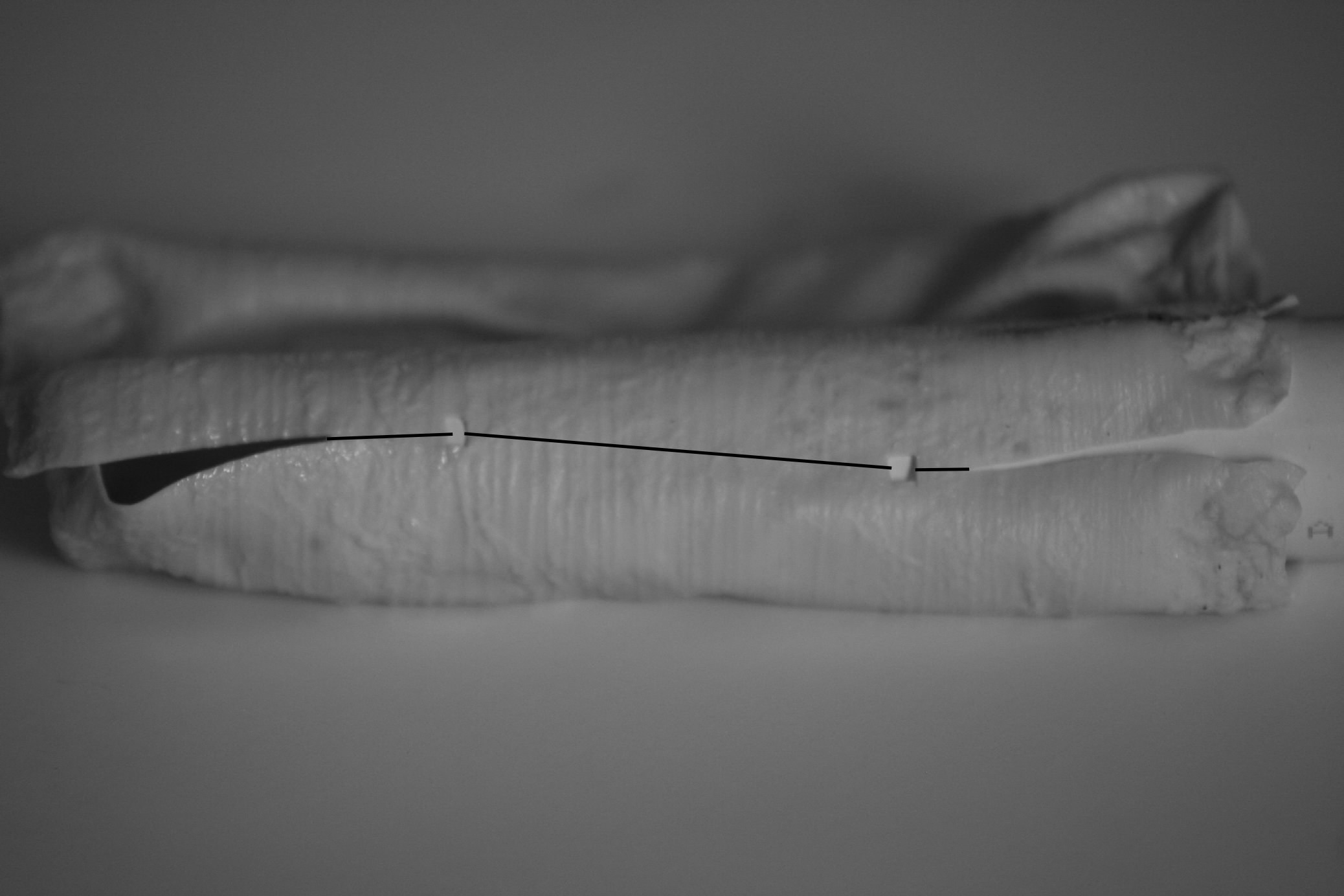 Figure 15. A latex impression of Core 7 showing notches and cut lines