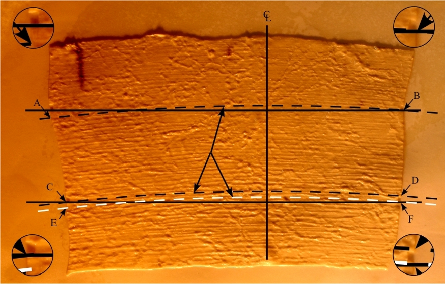 Figure 17. Flat layout of the latex impression of Core 7