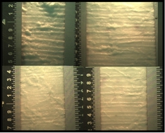 Figure 18. Close-up photographs of the latex impression of Core 7