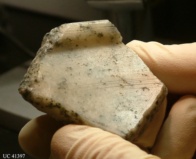 Figure 4. Petrie’s bowl shard housed in the Petrie Museum