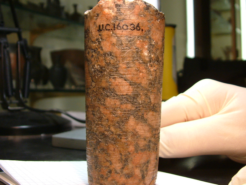 Figure 8. Petrie’s Core 7 G, housed in the Petrie Museum