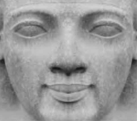 Figure 2.13. Ramses’ nose symmetry
