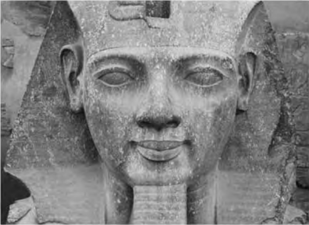 Figure 2.2. Ramses Head