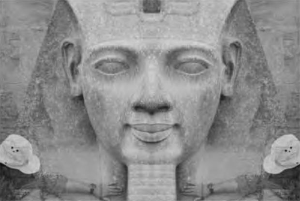 Figure 2.3. Reverse transparency overlay matching the jawline