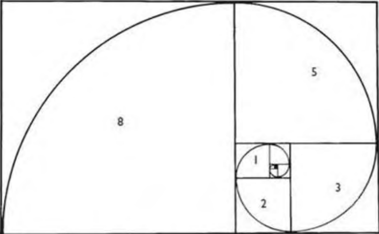 Figure 2.5. Fibonacci spiral