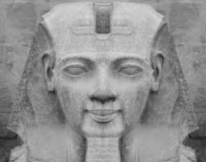 Figure 2.8. Reverse transparency matching the nose