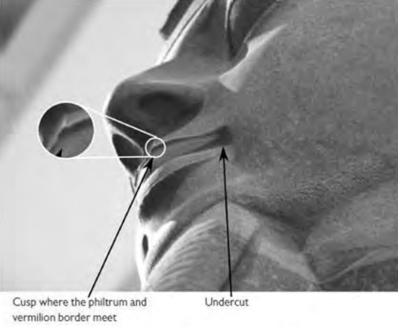 Figure 3.10. Ramses’ mouth