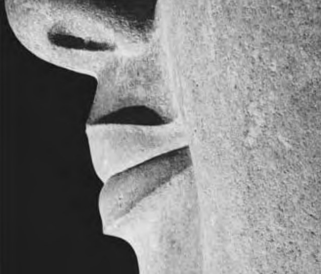 Figure 3.12. Detail of left vermilion border