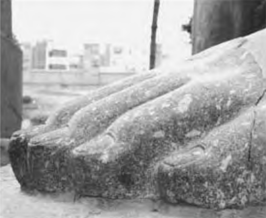 Figure 3.17. Ramses' toes