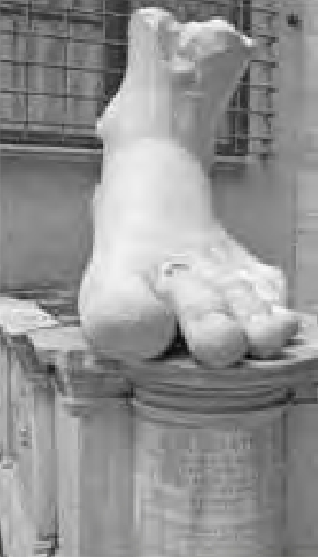 Figure 3.18. Constantine's toes