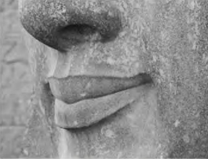 Figure 3.2. Ramses’ smile at Luxor