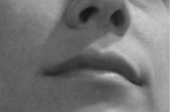 Figure 3.5. Jessica's perfect lips