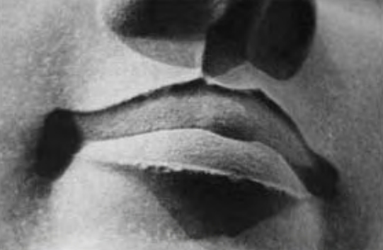 Figure 3.7. Lips that are too perfect?