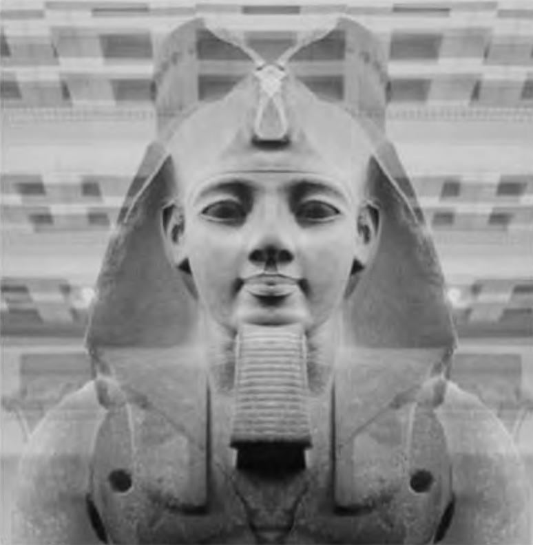 Figure 3.8. Shadow of the Ramesseum Ramses