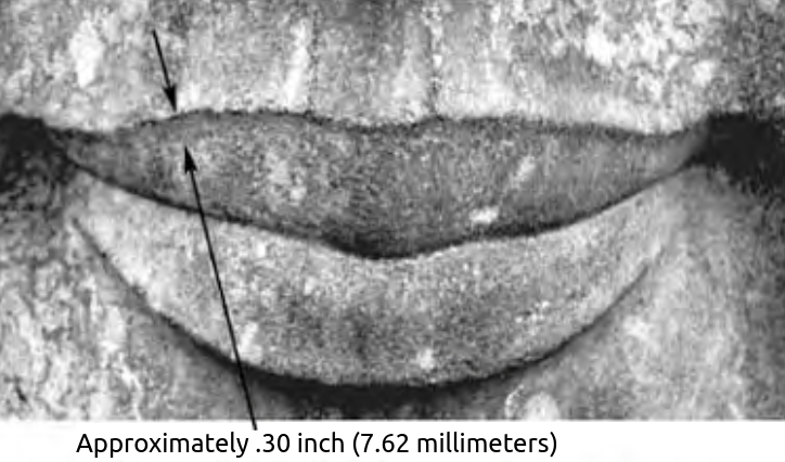 Figure 4.8. Close-up of a Luxor Ramses' mouth