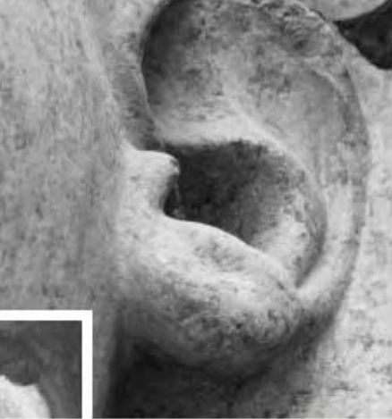 4.12a - Left ear of standing statue of Ramses in the Ramses Hall, Luxor