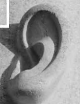 4.12c - Left ear of Amenophis III at Karnak