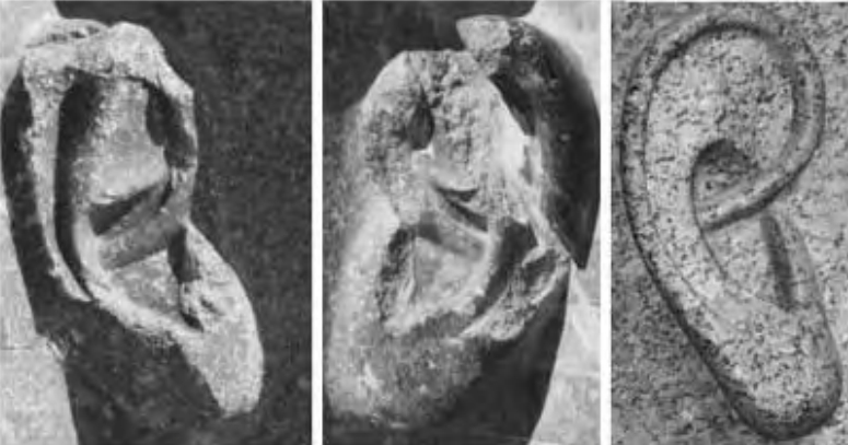 Figure 4.13. Ramses' ears at the Ramesseum with Amenophis III's ear from the temple of Mut