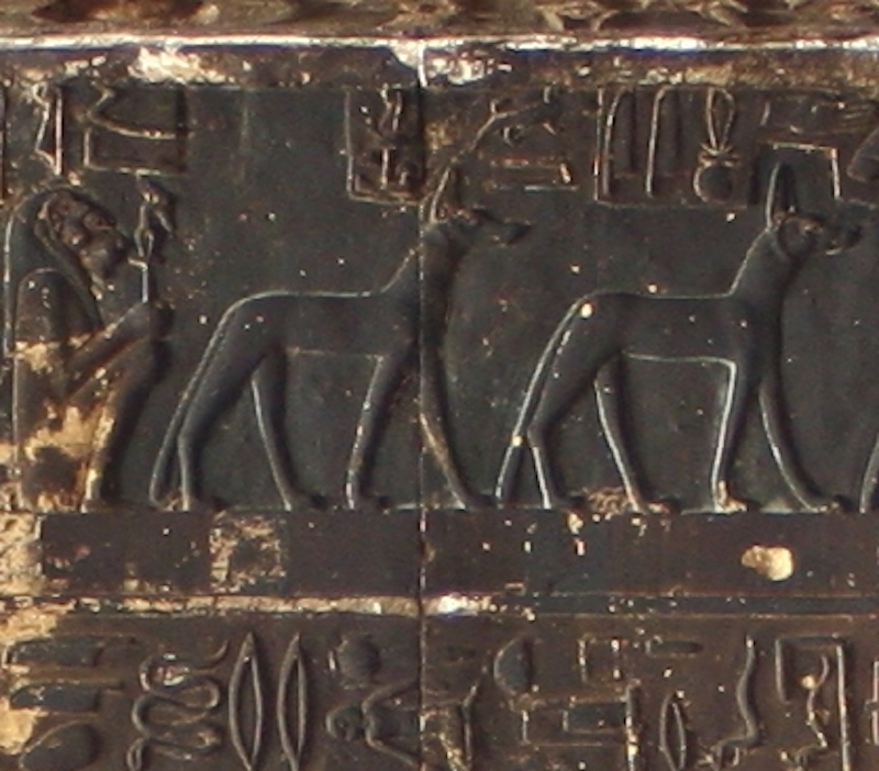 Denderah 13 Denderah 13