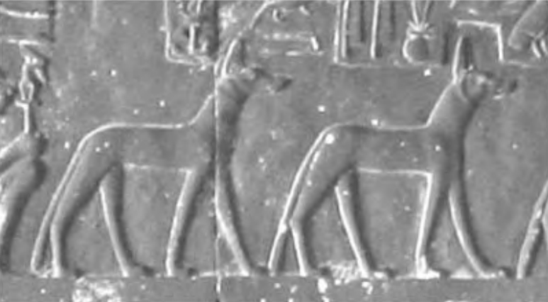 Figure 7.14. Figures of Anubis carved in the ceiling blocks
