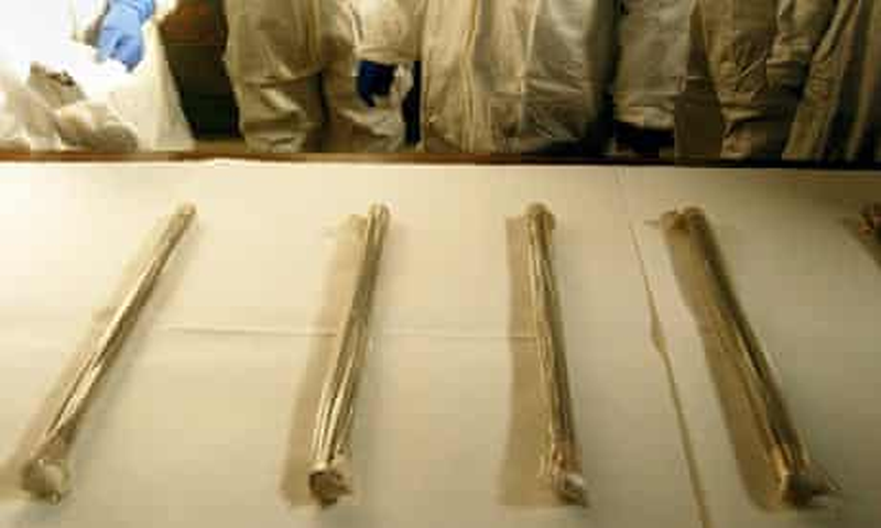 unused plutonium rods