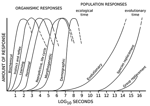 figure 06 3 timescales of responses to change 500