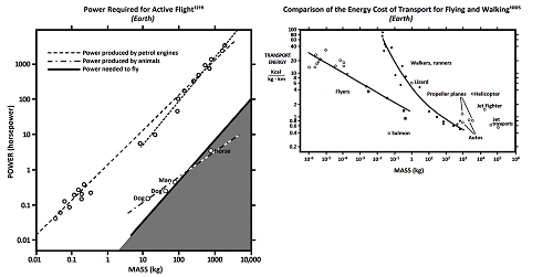 figure 11 5A B 500px