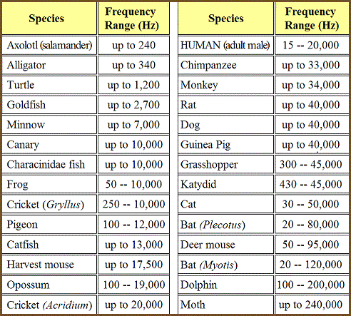 table 13 1 range of hearing for terrestrial animals
