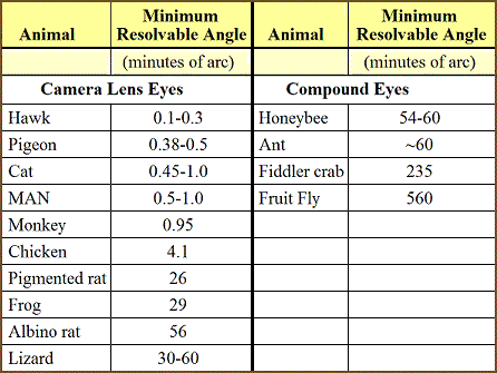 table 13 4 resolving power of animal eye