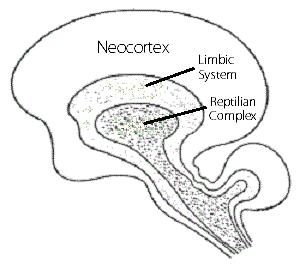 Figure 14.2A Figure 14.2