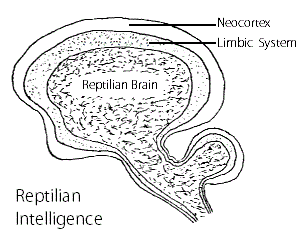 Figure 14.2B 14.2B 300
