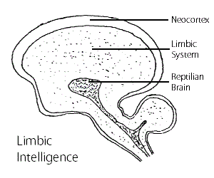 Figure 14.2C 14.2C 300