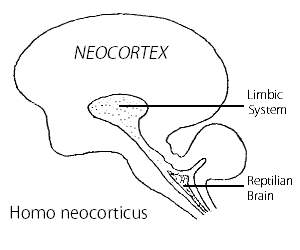 Figure 14.2D 14.2D 300