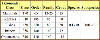 table 20 1 average taxonomic evolution rate 350