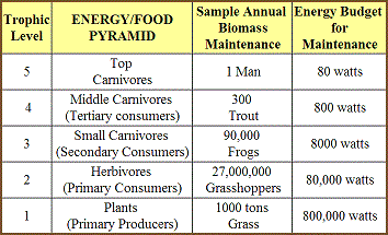 table 20 2 energy flow at various trophic levels 350