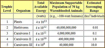 table 20 3 maximum supportable large organism population 360