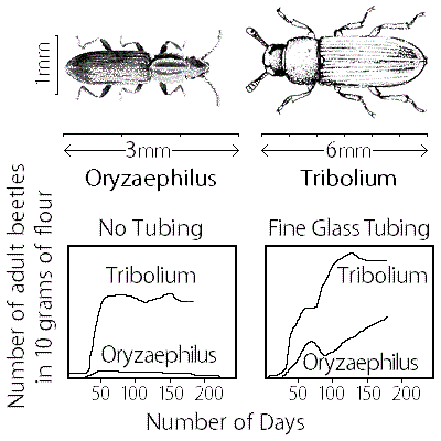 figure 25 1 principle of competitive exclusion